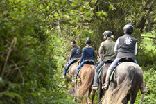 Portugal-Azores-Faial Island Trail